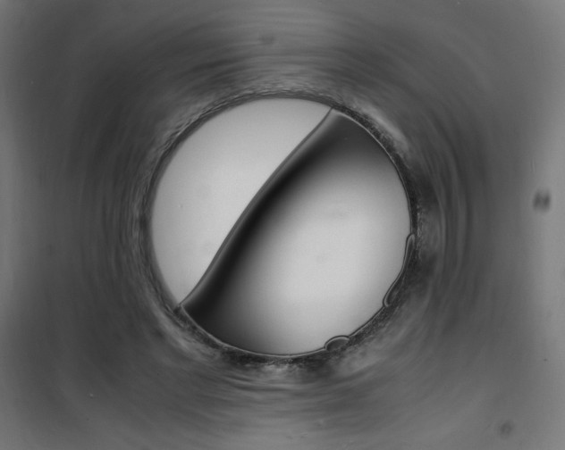 X0000101480493200807071246