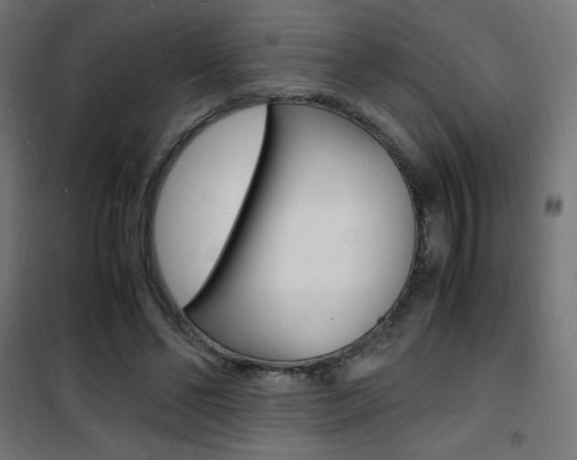 X0000101480494200807071246