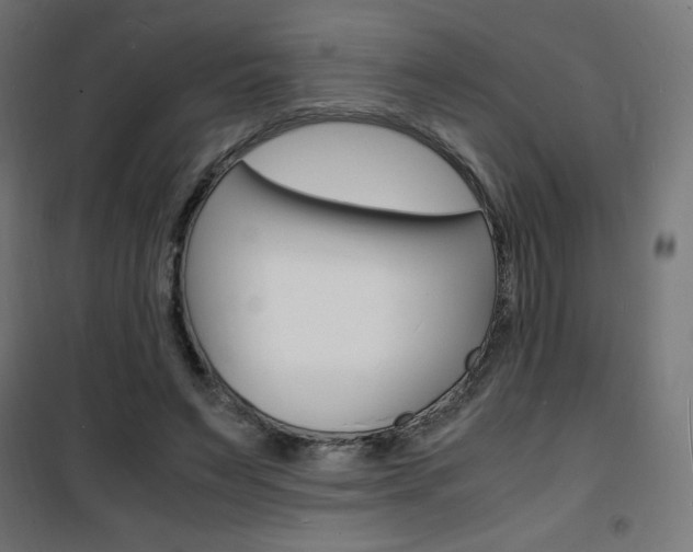 X0000101480495200807071246