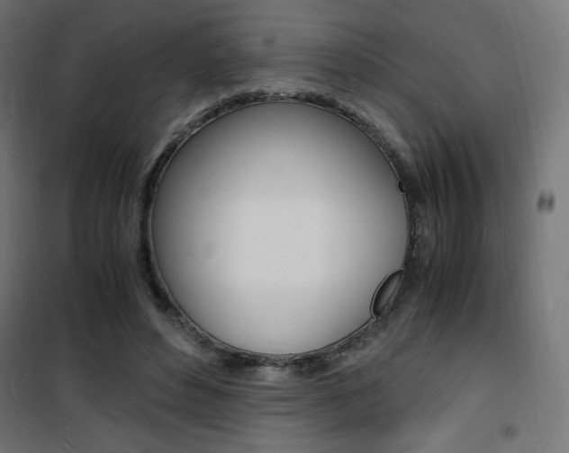 X0000101480496200807071246