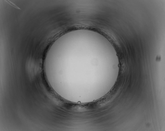 X0000101480498200807071246