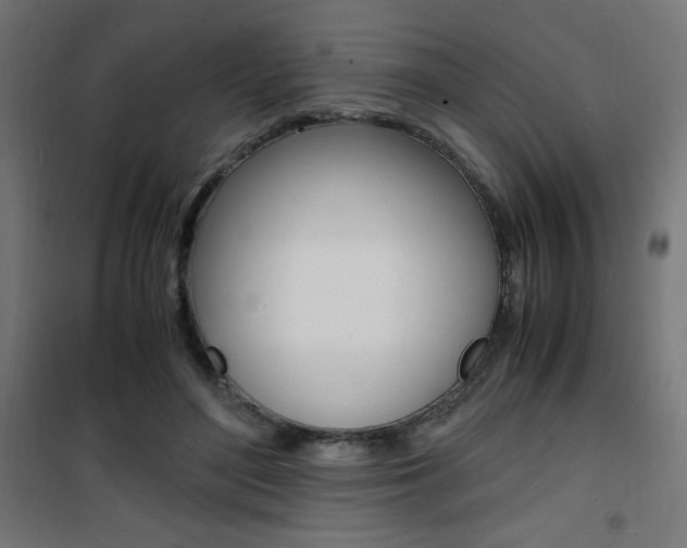 X0000101480500200807071246
