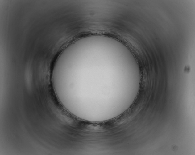 X0000101480502200807071246