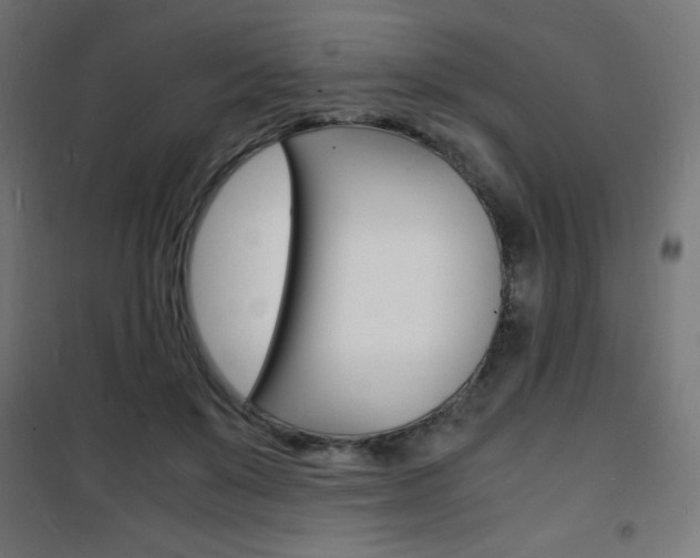 X0000101480503200807071246