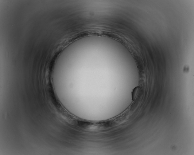 X0000101480504200807071246