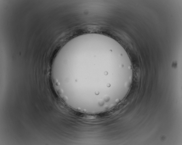 X0000101480507200807071246