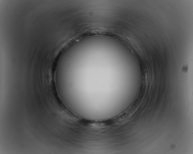 X0000101480508200807071246
