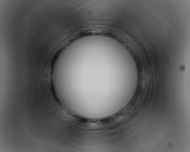 X0000101480510200807071246