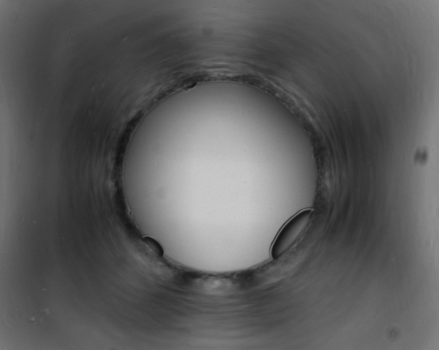 X0000101480512200807071246