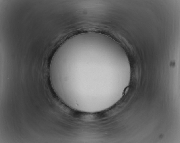 X0000101480513200807071246