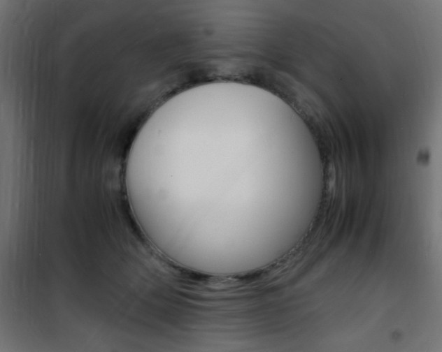 X0000101480514200807071246