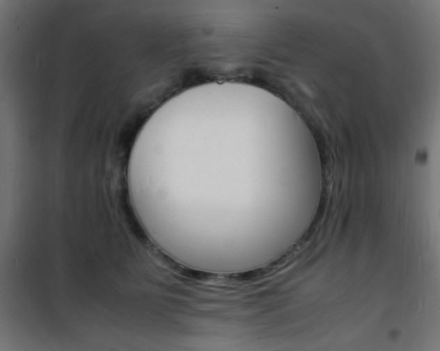 X0000101480515200807071246