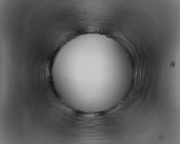 X0000101480516200807071246