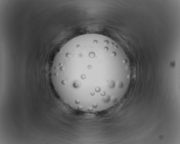 X0000101480519200807071246