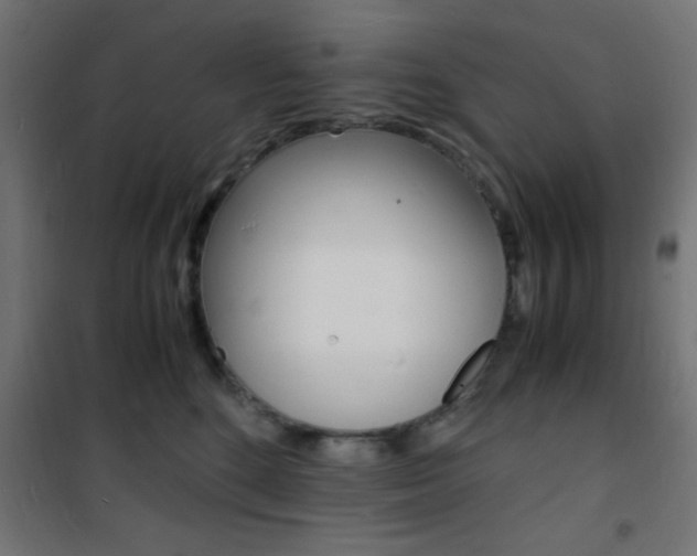 X0000101480520200807071246