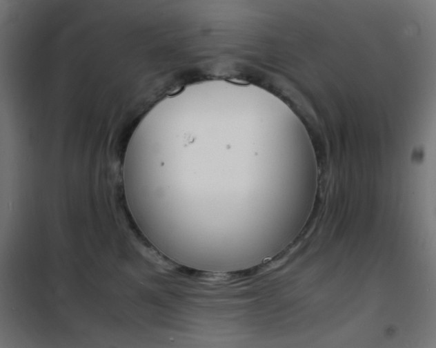 X0000101480521200807071246