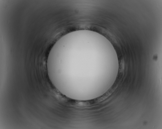 X0000101480522200807071246