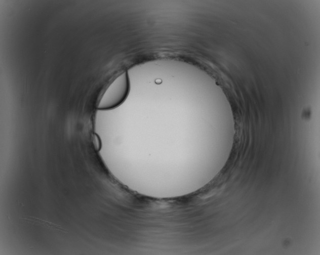 X0000101480523200807071246