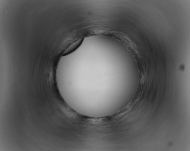 X0000101480524200807071246