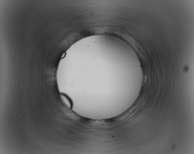 X0000101480525200807071246