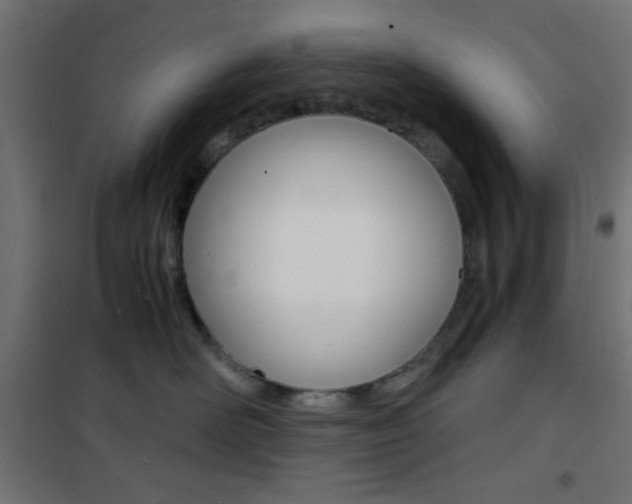 X0000101480526200807071246
