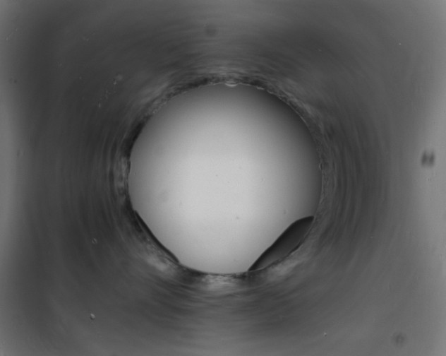X0000101480528200807071246