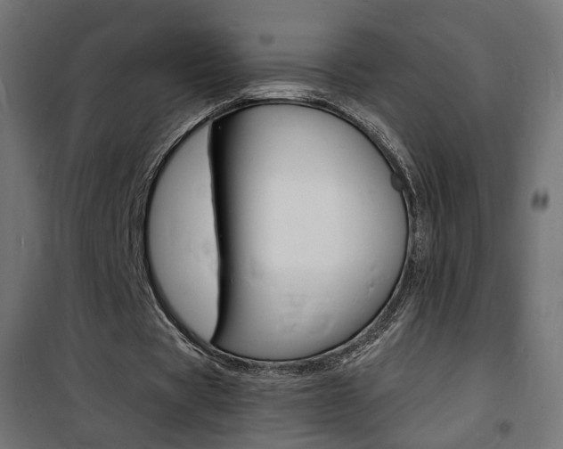 X0000101480529200807071245