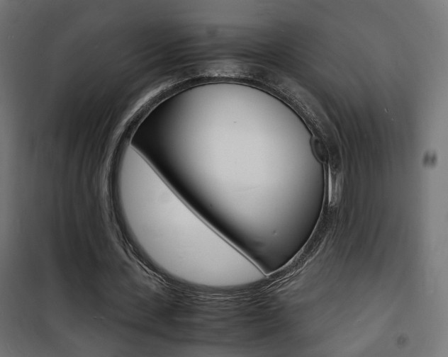 X0000101480531200807071245