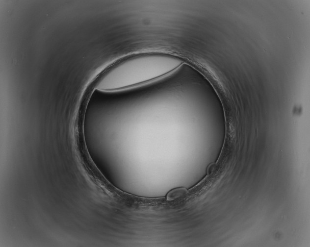 X0000101480532200807071245