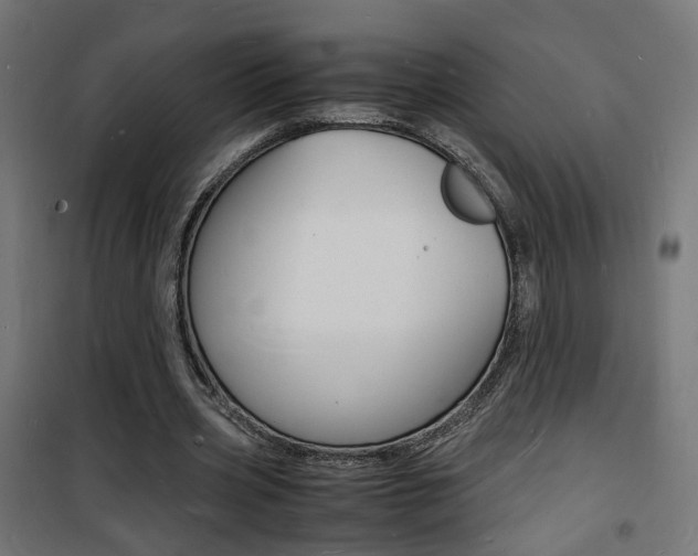 X0000101480533200807071245