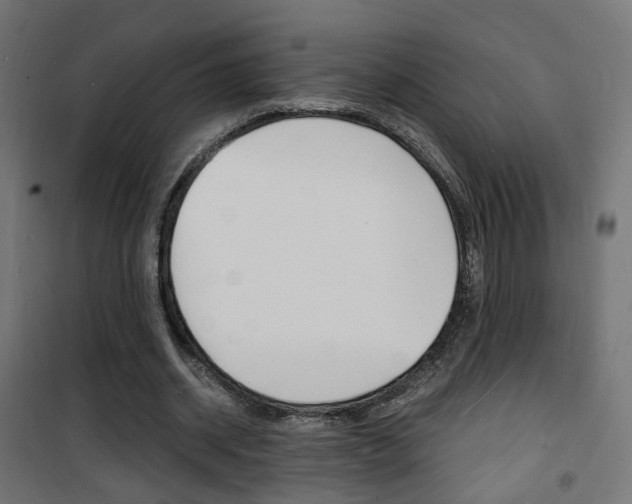 X0000101480534200807071245