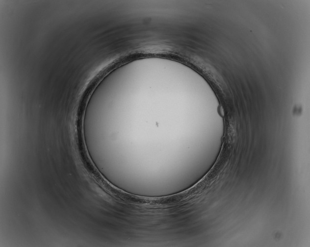 X0000101480535200807071245