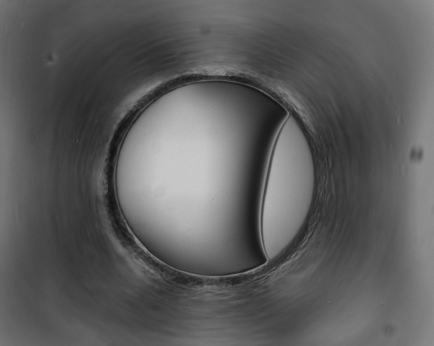 X0000101480536200807071245