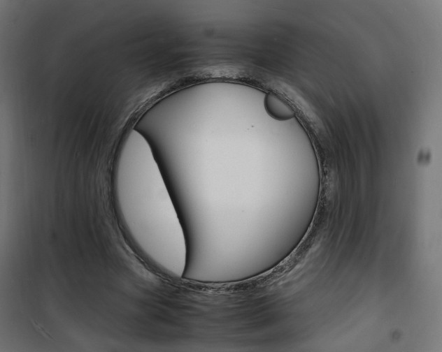 X0000101480537200807071245