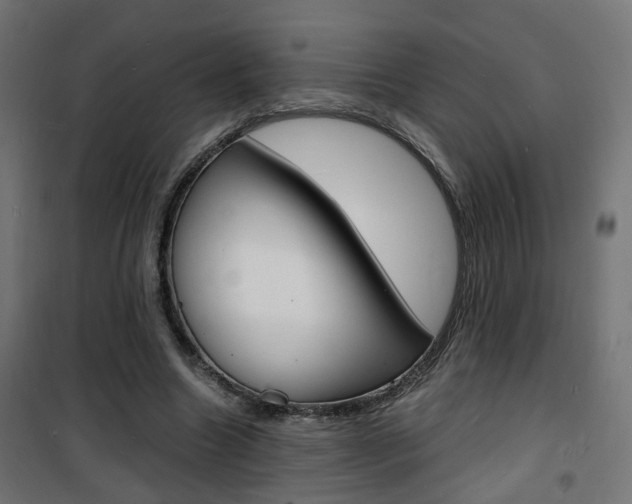 X0000101480538200807071245