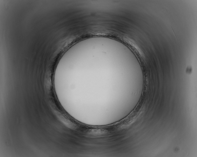 X0000101480541200807071245