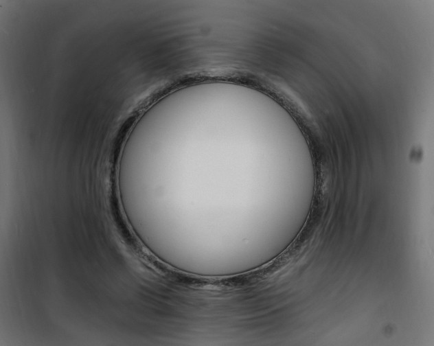 X0000101480542200807071245