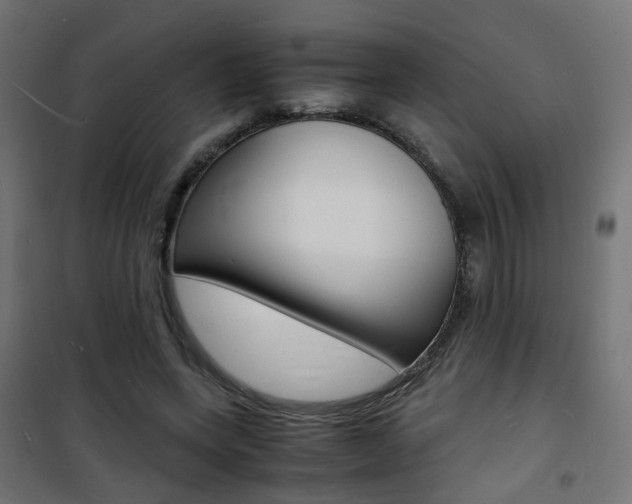 X0000101480543200807071245