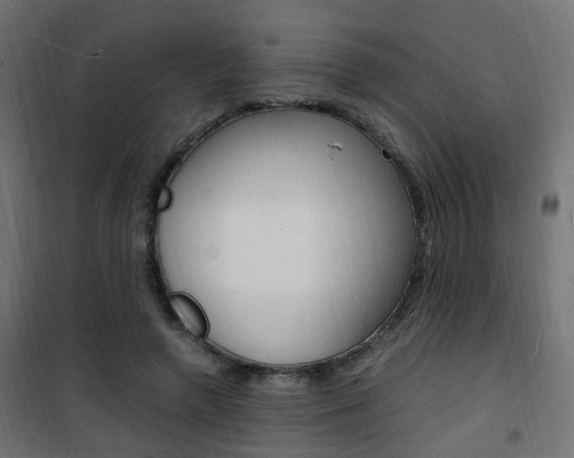 X0000101480546200807071245