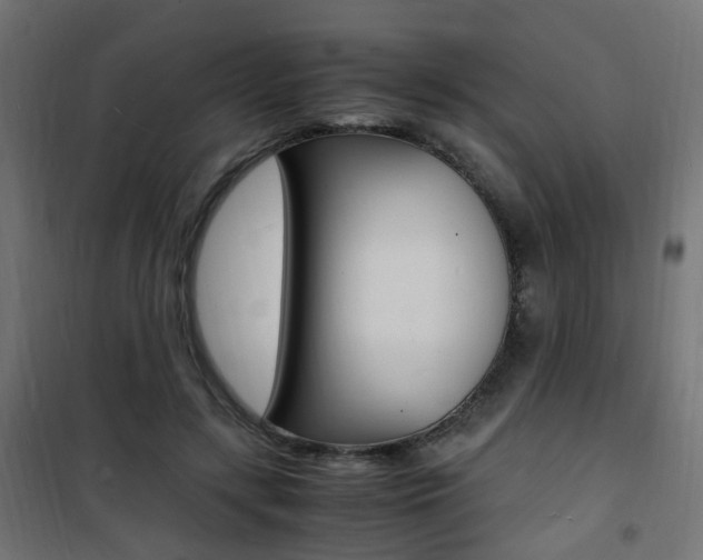 X0000101480547200807071245
