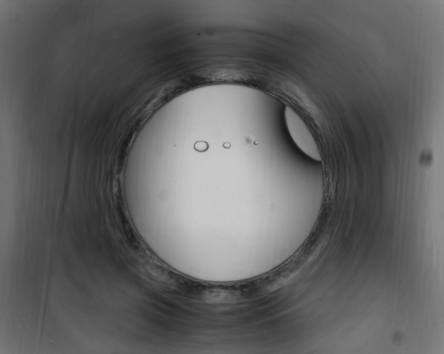 X0000101480549200807071245