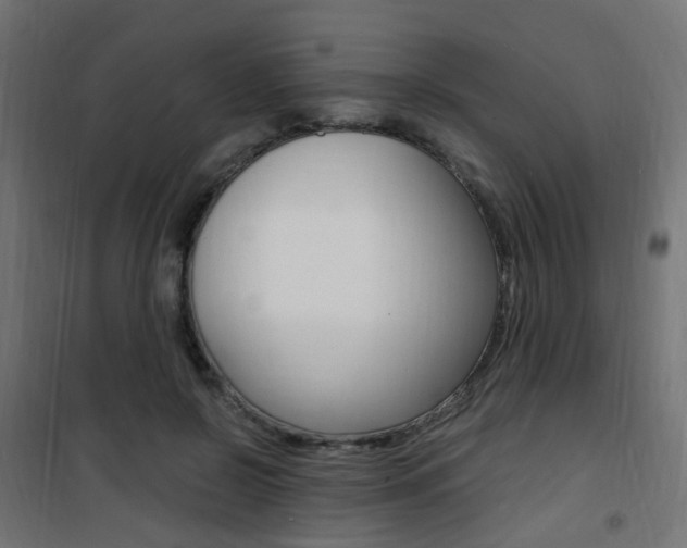 X0000101480550200807071245
