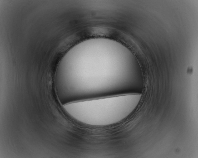 X0000101480551200807071245