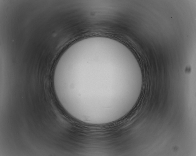 X0000101480552200807071245