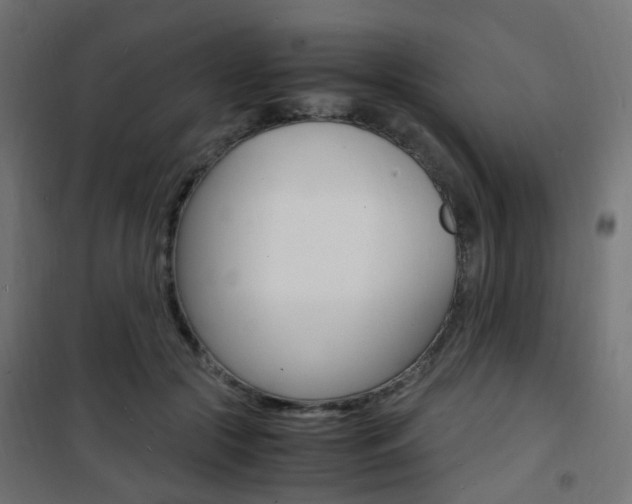 X0000101480553200807071245