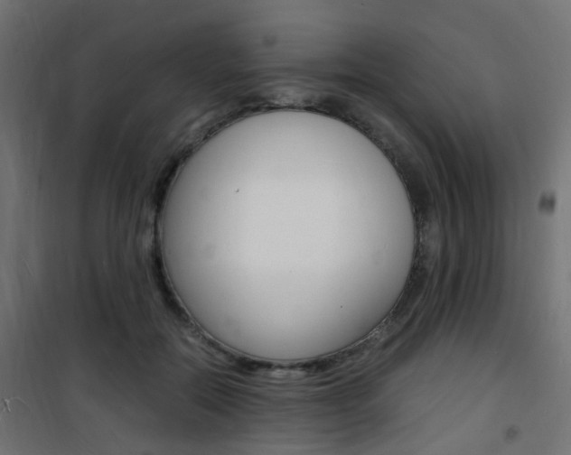 X0000101480554200807071246