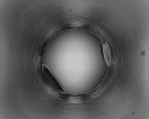 X0000101480556200807071246