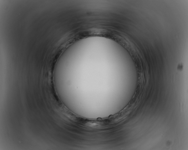 X0000101480557200807071246