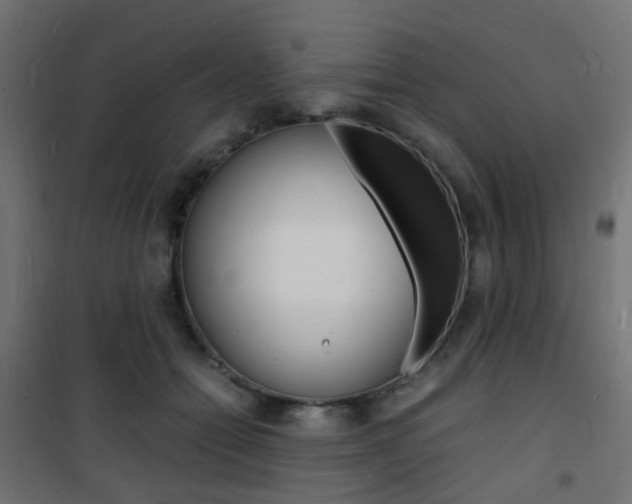 X0000101480558200807071246