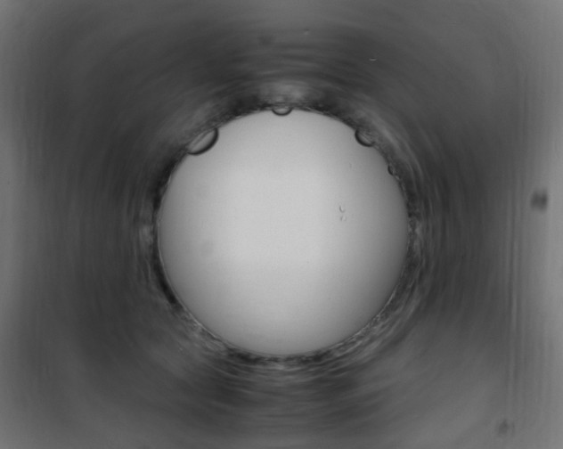 X0000101480561200807071246